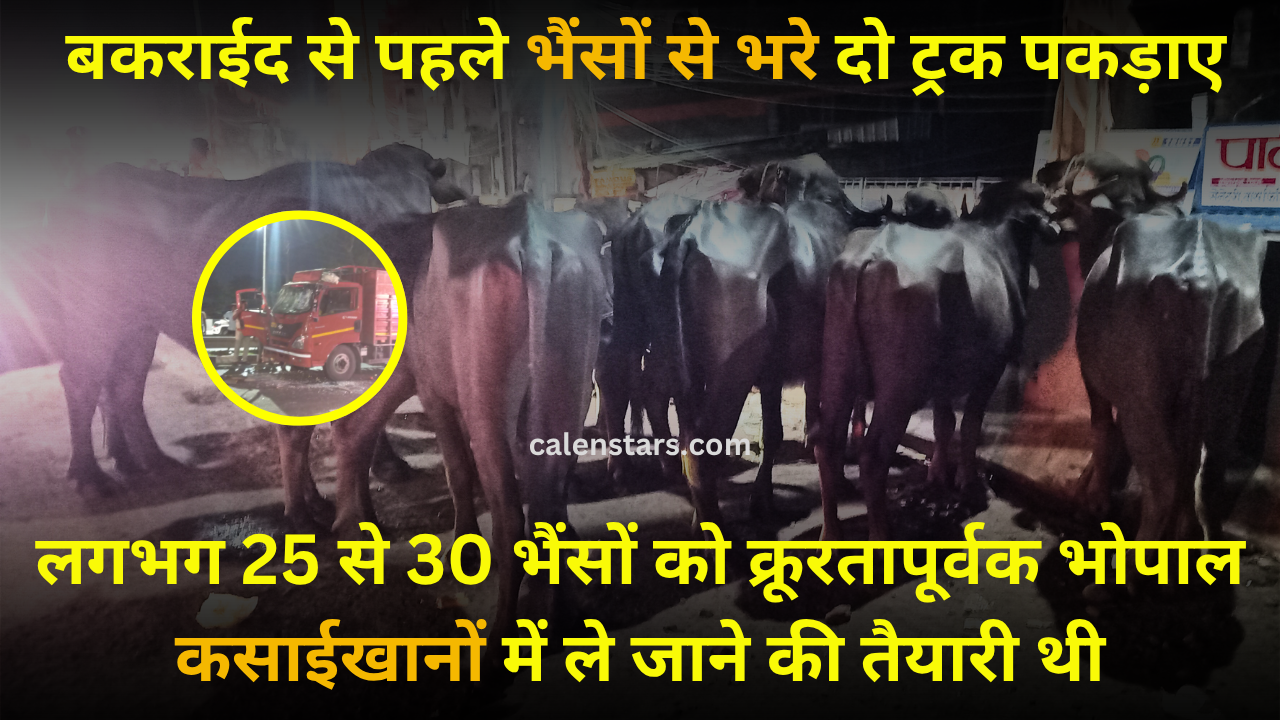 Eid al-Bakrid, Bakrid बकरीद